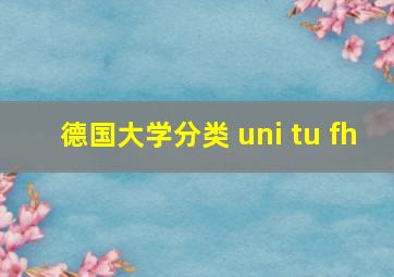 德国大学分类 uni tu fh